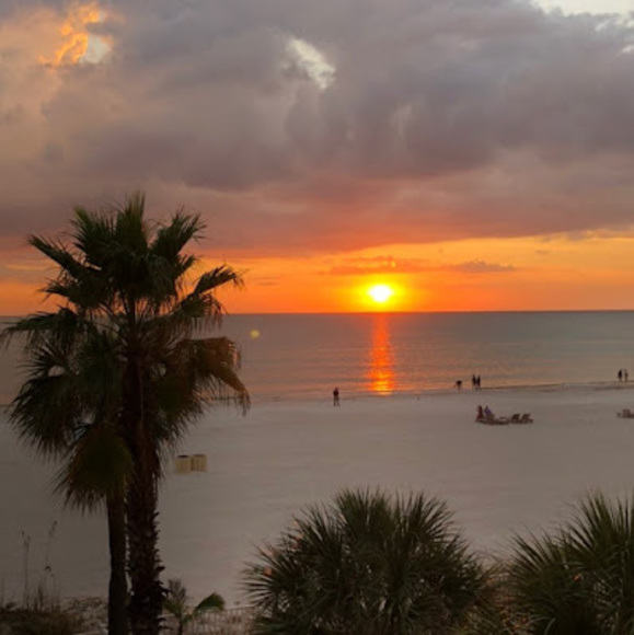 Meet your Posher, Miley - Picture 1 of 1